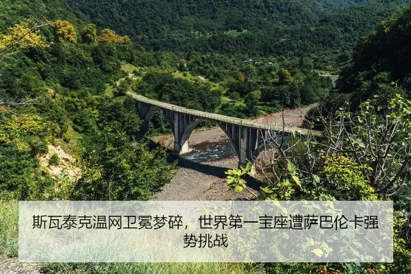 si-wa-tai-ke-wen-wang-wei-mian-meng-sui-shi-jie-di-yi-bao-zuo-zao-sa-ba-lun-ka-qiang-shi-tiao-zhan-2-106.jpg