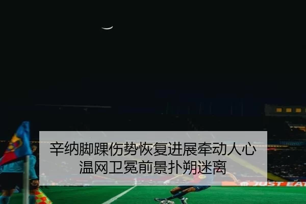 辛纳脚踝伤势恢复进展牵动人心 温网卫冕前景扑朔迷离