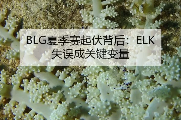 BLG夏季赛起伏背后：ELK失误成关键变量