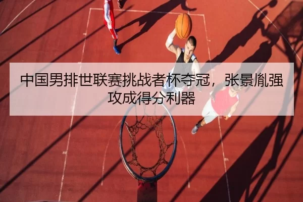 zhong-guo-nan-pai-shi-lian-sai-tiao-zhan-zhe-bei-duo-guan-zhang-jing-yin-qiang-gong-cheng-de-fen-li-qi-2-626.jpg