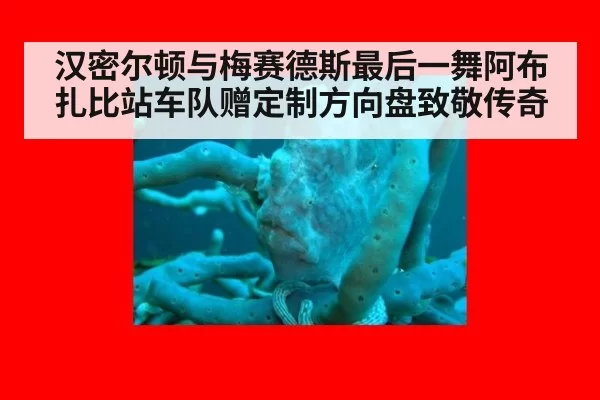 汉密尔顿与梅赛德斯最后一舞阿布扎比站车队赠定制方向盘致敬传奇